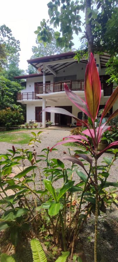 Breath House Hiriketiya Apartment Dickwella Exterior photo
